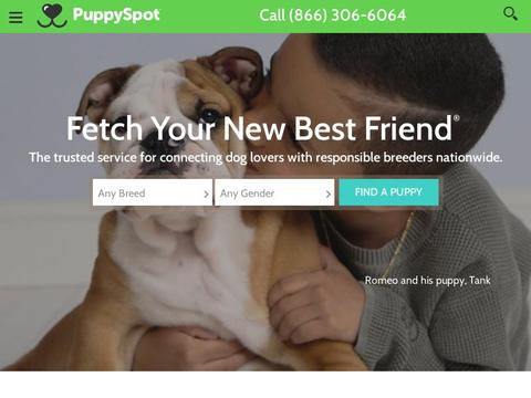 PuppySpot Coupons and Promo Code